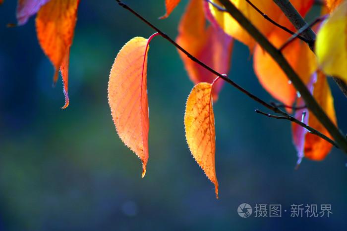 h文从床上到浴室,亚洲不卡一卡2卡三卡4卡5卡高清直播,亚洲欧洲无码专区av