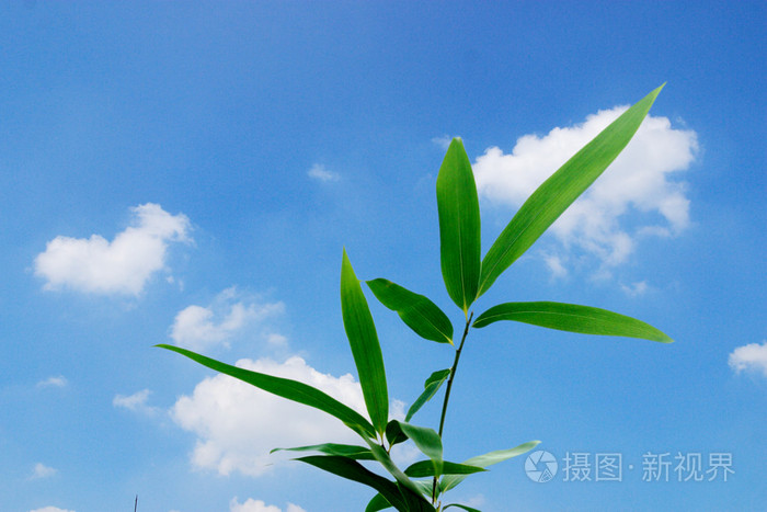 性激烈的欧美三级视频试看,天天爽天天爽天天av,棚户区小伙嫖老妓女